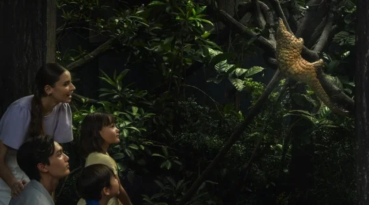 ナイトサファリ